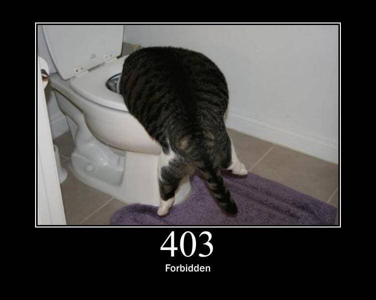 http meme
